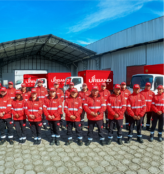 Servicios, Foto equipo